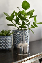 Burgon & Ball Indoor Plant Mister, Stainless Steel - Image 5