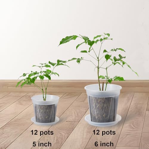 24 pcs 6/5 inch Clear Nursery pots for Plants Saucers,5/6 inch Clear Heavy pots with Side Vents for Reporting Orchids,Aroid,Monstera, Indoor & Outdoor use - Image 2
