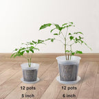 24 pcs 6/5 inch Clear Nursery pots for Plants Saucers,5/6 inch Clear Heavy pots with Side Vents for Reporting Orchids,Aroid,Monstera, Indoor & Outdoor use - Image 2