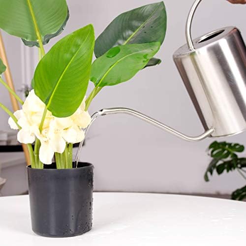 Stainless Steel Silver Colored Watering Can 1/2 Gallon Long Spout Watering Pot for Indoor Plant Watering or Outdoor Gardening with 2Pcs Removable Spray Spout for Flowers - Image 4