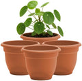 Bloem Ariana 10" Plastic Self-Watering Planter, Terra Cotta, 4-Pack by Bloem