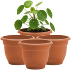 Bloem Ariana 10" Plastic Self-Watering Planter, Terra Cotta, 4-Pack by Bloem