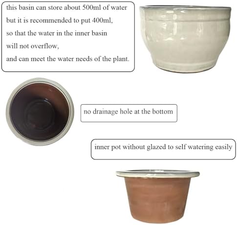 African Violet Pots Self Watering White 6 inch - Image 4