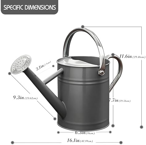 Metal Watering Can for Outdoor Plants, Watering Can Decor 1 Gallon (Gray) - Image 2