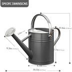 Metal Watering Can for Outdoor Plants, Watering Can Decor 1 Gallon (Gray) - Image 2