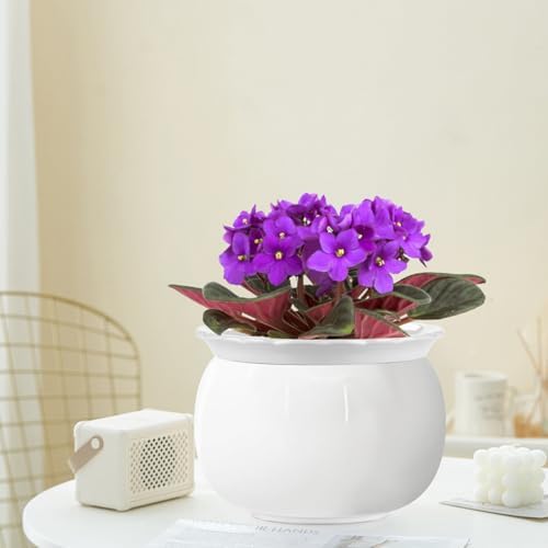 8 inch Self Watering Ceramic African Violet Pot for Indoor Plants - Image 6