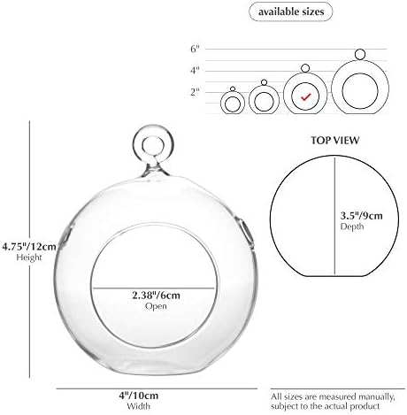 WGV Hanging Terrarium Globe, Width 4", Height 4.75", DIY Air Succulent Planter, Clear Glass Vase Orb with Flat Bottom, Candle Holder for Windowsill Outdoor Garden Decor, 6 Pieces Bulk - Image 2