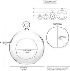 WGV Hanging Terrarium Globe, Width 4", Height 4.75", DIY Air Succulent Planter, Clear Glass Vase Orb with Flat Bottom, Candle Holder for Windowsill Outdoor Garden Decor, 6 Pieces Bulk - Image 2