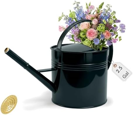 2.5 Gallon Dark Green Metal Watering Can, Galvanized Watering Can for Outdoor Indoor Plants, Large Water Can for Plants and Garden Flower, Golden by LONGRUNNEW
