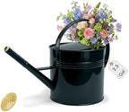 Galvanized Iron Watering Can for Indoor Plants, Oval Watering Cans for House Plant Garden Flower, Long Spout Water Can for Outdoor Watering Plants 9.46L 2.5 Gallon Gold by Longrun