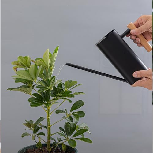 Stainless Steel Watering Can, Cute Indoor Metal Plant Watering Can with Long Spout for Houseplants, Bonsai and Outdoor Gardening (Black 800ML) - Image 7