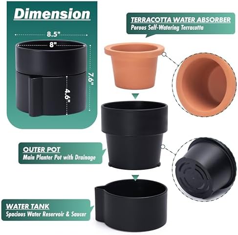 Phoenix Vine 8 Inch Self-Watering Planter Pot with Terracotta Insert, Deep Water Reservoir, and Ceramic-Alike BPA-Free Plastic Planter Pot for Plant, Modern Planter for Houseplants, Black, 53-A-T-2 - Image 4