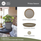 The HC Companies 21 Inch Prima Round Plant Saucer, Lightweight UV-Resistant Plastic Outdoor & Indoor Flower Pot Tray, 2-Pack Plant Pot Trays for Garden & Home Decor, Sandstone - Image 2