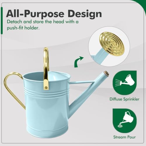 Gold Galvanized Iron Watering Can for Indoor Plants, DIY Watering Cans for House Plant Garden Flower, Long Spout Water Can for Outdoor Watering Plants 6.44L 1.7 Gallon (Blue) - Image 4