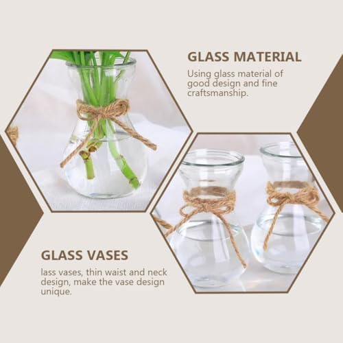 3pcs Glass Vase for Hydroponic Plants, Decorative Flower Display Xmas - Image 5