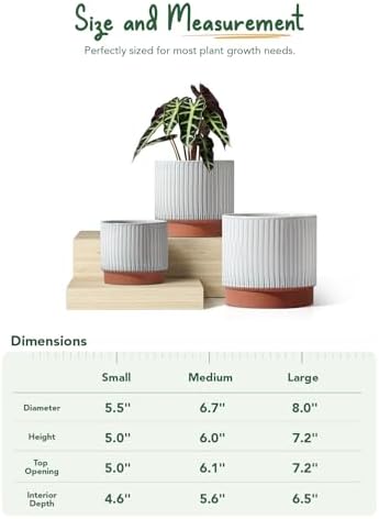 LE TAUCI Ceramic Pots for Plants, 8+6.7+5.5 Inch Plant Pots Indoor, Flower Pot with Drainage Holes, Medium Cylinder Planters for Indoor House Plants, Set of 3, Reactive Glaze White - Image 5