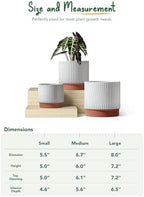 LE TAUCI Ceramic Pots for Plants, 8+6.7+5.5 Inch Plant Pots Indoor, Flower Pot with Drainage Holes, Medium Cylinder Planters for Indoor House Plants, Set of 3, Reactive Glaze White - Image 5