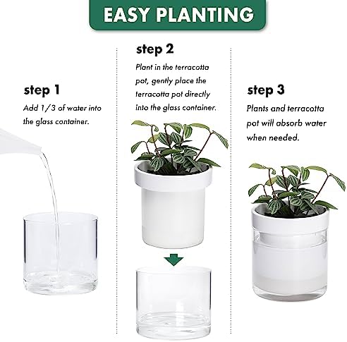 Phoenix Vine 6 Inch Self Watering Planter, White Terracotta Clay Pot with Glass Reservoir for Indoor Plants, Herbs, Flowers, Set of 1, 52-B-F-1 - Image 7