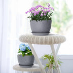 Meowell Large Flower Pots 12/10/9 inch, 3 Set Big Plant Pots for Outdoor Indoor Plants with Water Ripples, Wide Plastic Planters with Drainage Holes and Saucers for Garden House Plants, Speckled Grey - Image 7