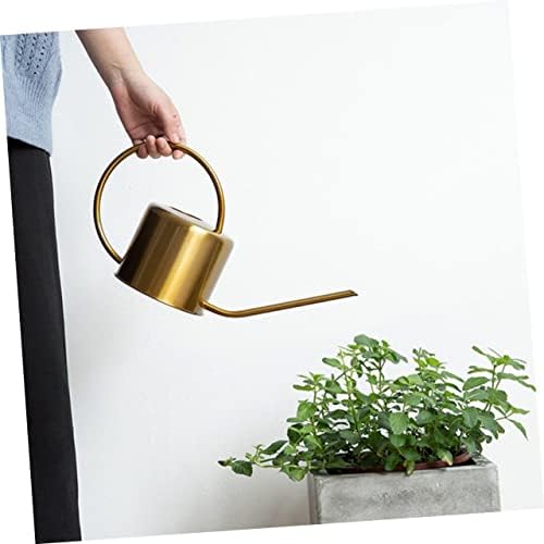 GALPADA Stainless Steel Watering Kettle Long Spout Sturdy 1L Watering Can for Indoor and Outdoor Plants Practical Garden Tool for Plant Care - Image 7