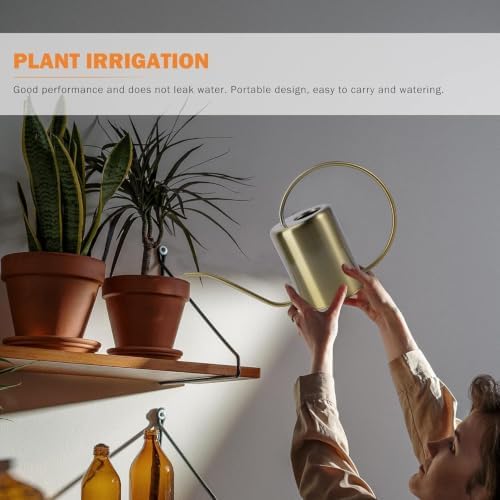 Brass Gooseneck Watering Can – 1.5L/2L Stainless - Image 3