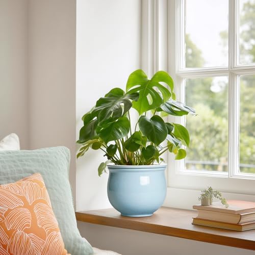 Ceramic African Violet Pots for Indoor Plants, 6 Inch Self Watering Planters with Absorbent Inner Pot, Self Watering Plant Pot, Ceramic Flower Pots, Desk Decor, Housewarming Gifts, Light Blue - Image 4