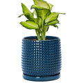 D'vine Dev Beaded Ceramic Pot with Saucer, 6 in, Midnight Blue, 27-C-X-3 by DvineDevPlanterPotsandStand