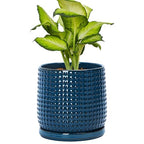 D'vine Dev Beaded Ceramic Pot with Saucer, 6 in, Midnight Blue, 27-C-X-3 by DvineDevPlanterPotsandStand