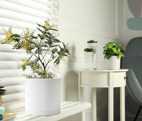 D'vine Dev 2-Pack White Plastic Planters with Saucers, 8 in, 74-Z-M-1 - Image 5