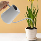 Retro Stainless Steel Watering Can for Plants with Long Spout and Ergonomic Handle Indoor Garden Watering Pot for Flowers and Houseplants - Image 3