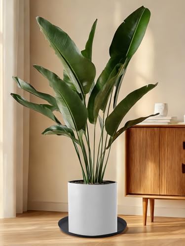 Kalolary 20 Inch Plant Saucer for Potted Plant Silicone Plant Trays - Image 4