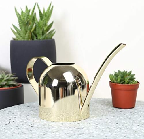 Stainless Steel Watering Kettle 500ml for Succulents and Flowers - Image 6