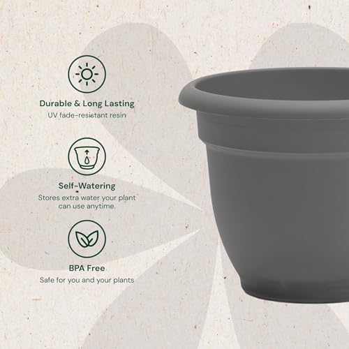 Bloem Ariana 10" Plastic Self-Watering Planter, Charcoal, 4-Pack - Image 3