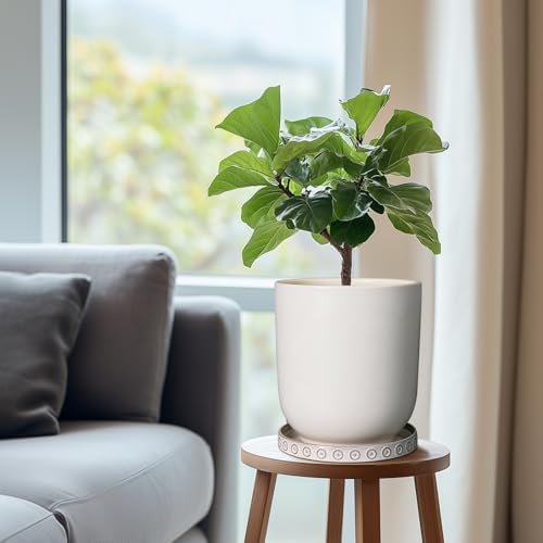 Eightpot Plant Tray for Pots - Ceramic Plant Saucer for Indoors Outdoors 7.5 Inch Plant Water Catcher Tray Plant Drainage Dray Decorative Flower Pot Saucer Plant Plates to Catch Water, Cream White - Image 4