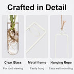 METALLIXITY Hanging Clear Glass Hydroponic Plant Propagation Tube Vase 2Pcs - Image 3