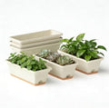 Window Box Planter, 6 Pack Plastic Vegetable Flower Window Planters Boxes 16 Inches Rectangular Flower Pots with Drainage Holes and Saucers (White) by LesOasis