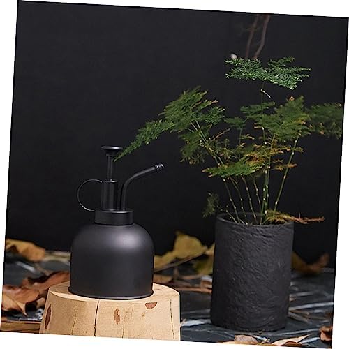 Stainless Steel Watering Pot for Indoor Plants, Vintage Black - Image 7