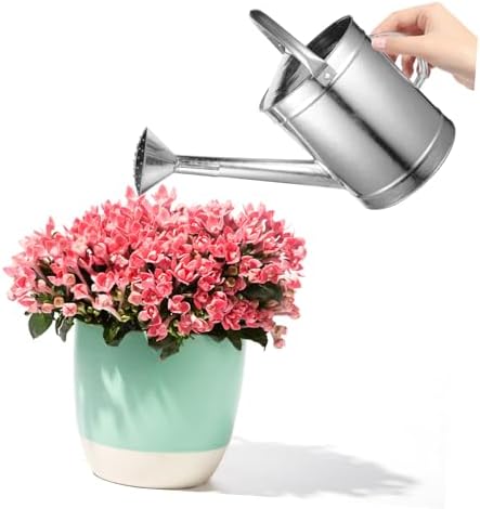 POPETPOP Large Capacity Watering Can with Long Spout Ergonomic Handle for Indoor and Outdoor Use Sturdy Design for Multiple Plants Convenient Watering - Image 6