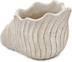Nautilus Shell Planter, Beige - Image 6