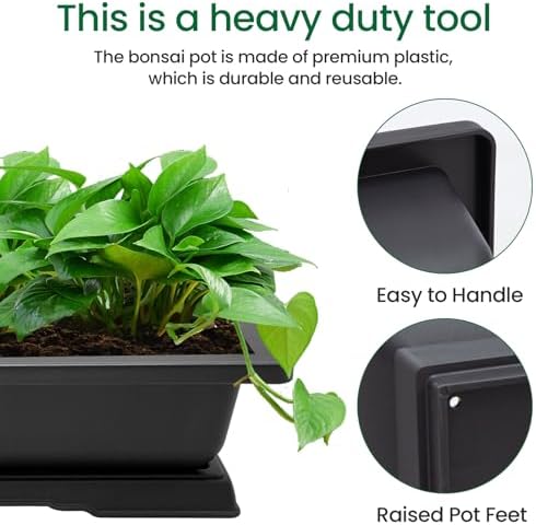 GROWNEER Large Bonsai Pots 3 Pack 14 Inch with Drainage Trays Training Pot - Image 4