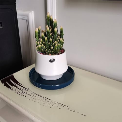 Ceramic Plant Saucer 7 Inch, 2 Pack Round Plant Trays for Indoors/Outdoors, Flower Pot Saucers for Holding Water Drips and Soil, Ceramic Drainage Tray for Plant Pot (Blue) - Image 4