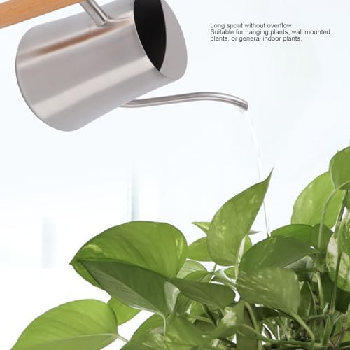 Asixxsix 1L Stainless Steel Watering Can with Long Spout, Indoor Watering Can Metal Stainless Steel Pot with Wood Handle for Succulent Bonsai Garden Flower (Sanding 1L) - Image 6