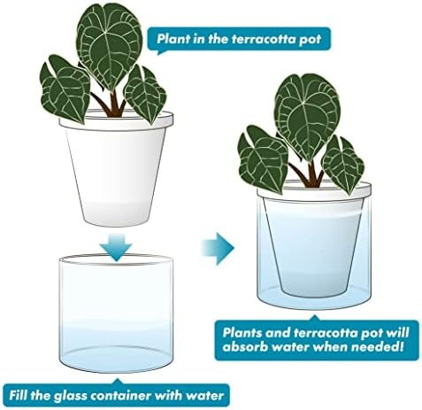D'vine Dev Self-Watering White Terracotta Planter, 6 in, 2-Pack, 37-Y-B-2 - Image 6