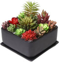 MyGift Black Ceramic Square Indoor Planter with Drainage Hole & Tray by MyGiftHome
