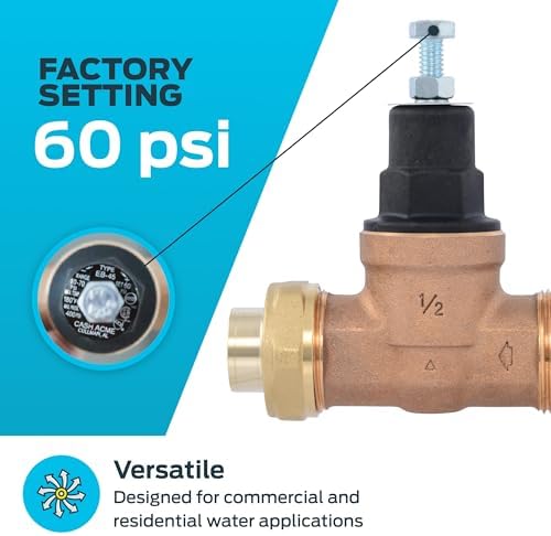 Cash Acme EB45 Pressure Regulating Valve, Single Union, 1/2 Inch NPT Female x NPT Female, Poly Top, 60 PSI, PVA08P-SUTH-60 - Image 3