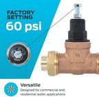 Cash Acme EB45 Pressure Regulating Valve, Single Union, 1/2 Inch NPT Female x NPT Female, Poly Top, 60 PSI, PVA08P-SUTH-60 - Image 3