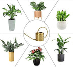 Watering Can Copper Colored Watering Can Metal Watering Can with Detachable Spout Plant Watering Can for Indoor Plants Watering Can-A - Image 7