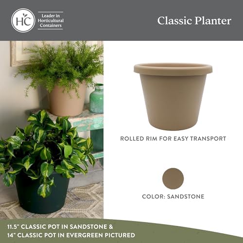 The HC Companies Classic Round Planter Pot, 11.5 Inch, Sandstone, 2-Pack - Image 2