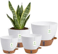Self Watering Pots with Water Level Indicator, 12" 10" 9" 8" Large Plastic Flower Pots with Mesh Drainage Hole and Removable Saucer Reservoir for Indoor Outdoor Plants (White) by ZDZDFF