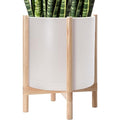 D'vine Dev Plastic Pot with Natural Wood Stand, Oatmeal, 16 in, 55-C-Y-4 by DvineDevPlanterPotsandStand